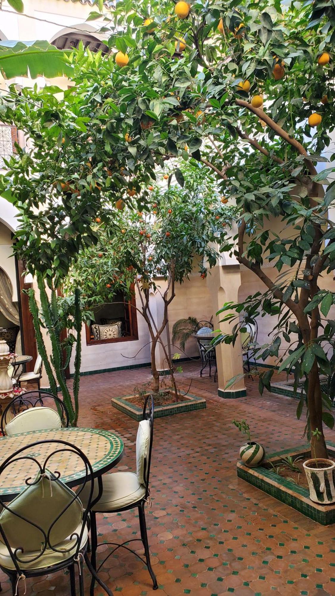 מרקש Riad Tidar By Phoenix מראה חיצוני תמונה
