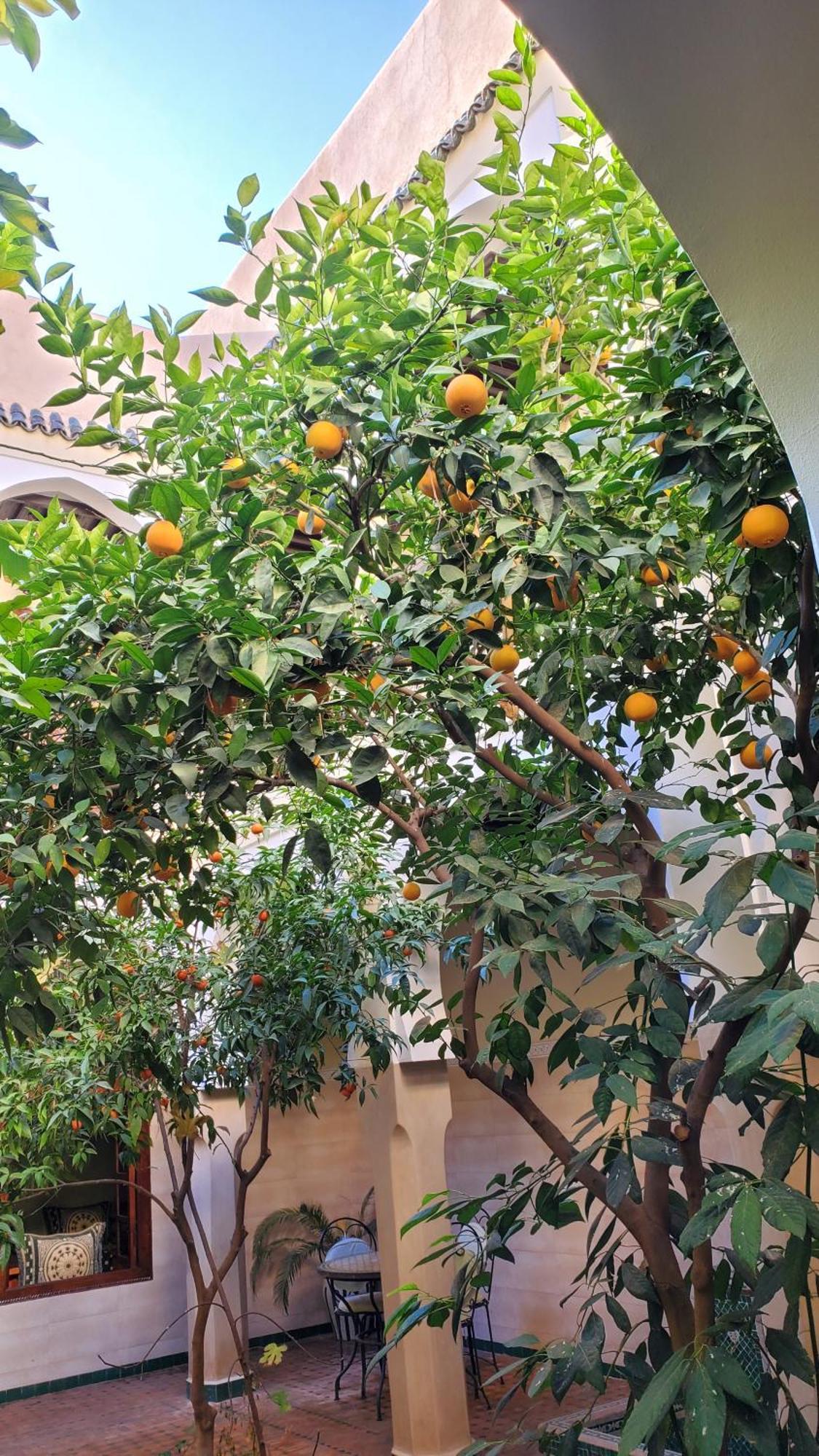 מרקש Riad Tidar By Phoenix מראה חיצוני תמונה