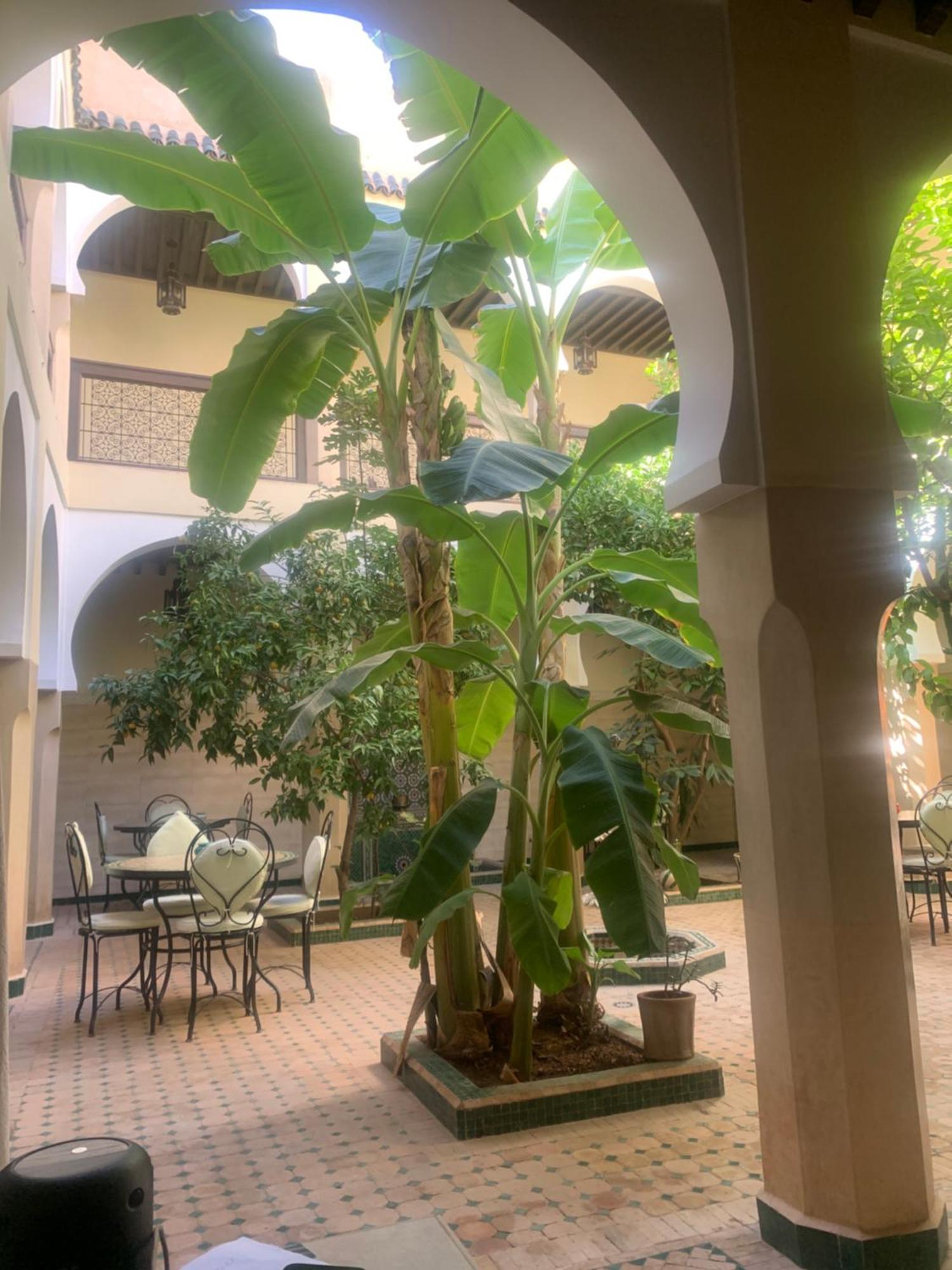 מרקש Riad Tidar By Phoenix מראה חיצוני תמונה