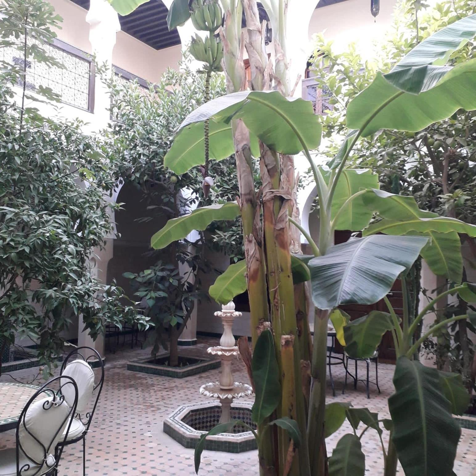 מרקש Riad Tidar By Phoenix מראה חיצוני תמונה